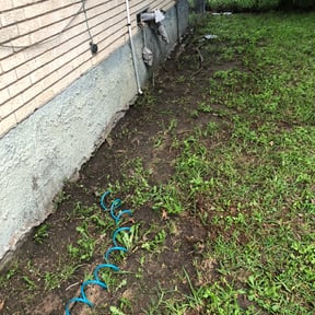 Bush Trimming by Jim’s lawn’s l l c reviewed on August 15, 2025