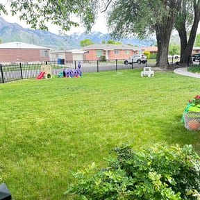 residential landscaping by 4 seasons landscaping and snow removal reviewed on August 15, 2025