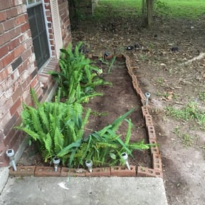 Flower Bed Weeding by Hall Right!!! reviewed on August 15, 2025
