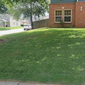 residential landscaping by B&J Lawn and Homecare reviewed on August 16, 2025