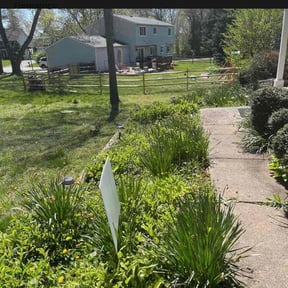 Flower Bed Weeding by Efficient Trimming reviewed on August 20, 2025