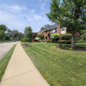 yard work by CostCutting lawncare reviewed on August 16, 2025