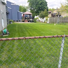 landscape maintenance by Valdes landscape reviewed on August 14, 2025