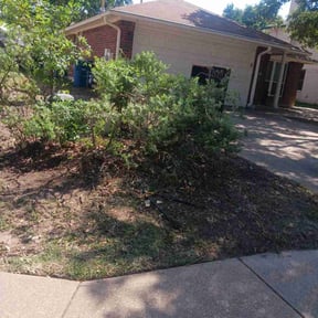 Bush Trimming by Mushana Landscape design reviewed on August 15, 2025