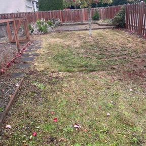 Flower Bed Weeding by Stars &amp; Stripes Lawn Care reviewed on November 24, 2025