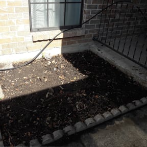 Bush Trimming by Lawnscape pros reviewed on August 15, 2025