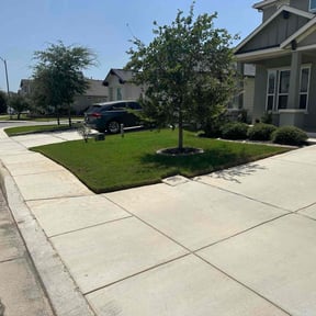 yard work by David’s Lawn Service reviewed on August 17, 2025