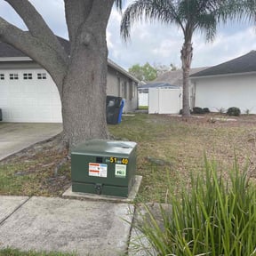 Leaf Removal by Mm lawn care llc reviewed on August 17, 2025