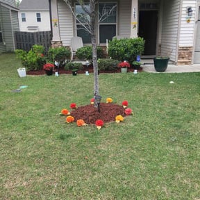 Mulching by D&D All In One reviewed on August 15, 2025