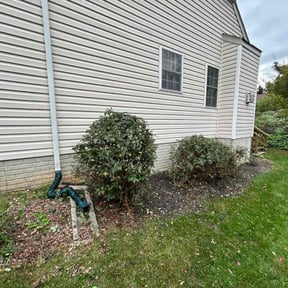 Bush Trimming by Procare Lawns reviewed on October 19, 2025