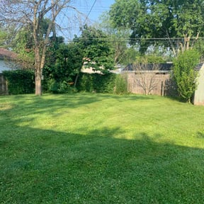 yard work by V&E Landscaping and Lawn Care.... reviewed on August 21, 2025