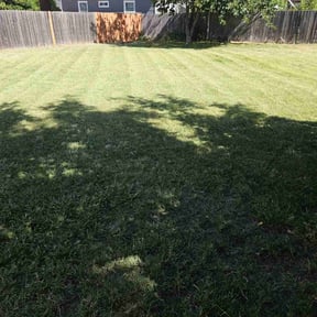 turf care by Diego Mojica Lawn Care reviewed on April 9, 2024