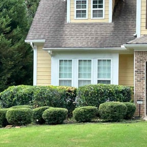 Bush Trimming by Riverview Lawn Care reviewed on August 19, 2025
