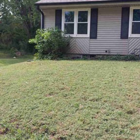 Bush Trimming by Abe lawn care reviewed on November 24, 2025