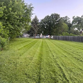 lawn service by Luna Lawn Care reviewed on May 14, 2024