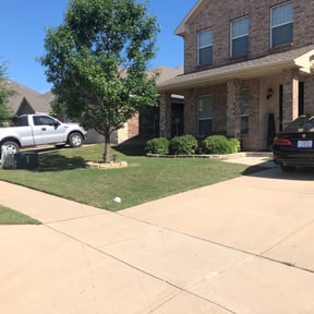 landscaping by Capital Curb Appeal reviewed on August 18, 2025