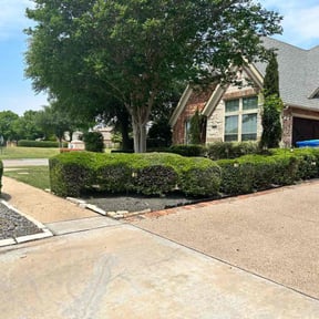 Bush Trimming by Miramontes Landscaping reviewed on August 15, 2025