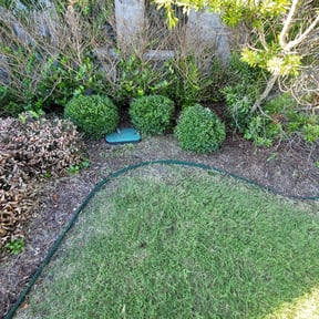 Bush Trimming by Myers Property Management  reviewed on March 26, 2024