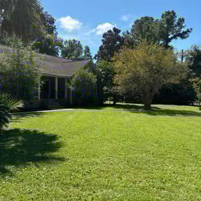 landscaping by Total lawncare reviewed on August 19, 2025