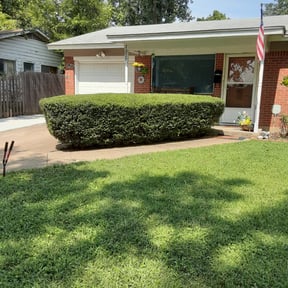 Bush Trimming by Johnson Family Lawn Service reviewed on August 17, 2025