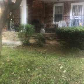 Bush Trimming by ASB Lawncare reviewed on August 18, 2025