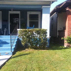Bush Trimming by Tuck's Lawn and Snow Services reviewed on August 21, 2025