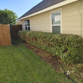 Bush Trimming by Sho-Gun LawnCare Llc reviewed on August 15, 2025