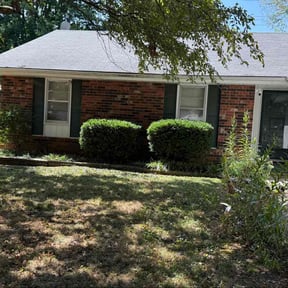 Bush Trimming by N&amp;k lawn service reviewed on October 19, 2025