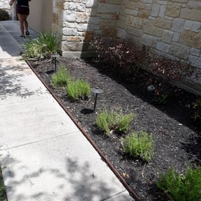 Bush Trimming by Clear landscapes llc reviewed on August 15, 2025