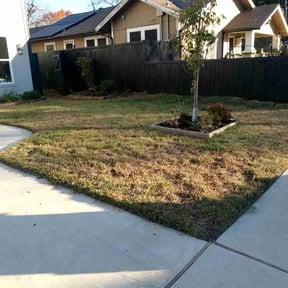 Bush Trimming by Keith Dalke reviewed on December 18, 2025