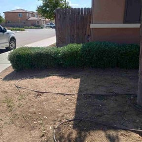 Bush Trimming by Lawson&#039;s Multi Services reviewed on October 22, 2025