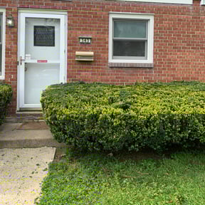 Bush Trimming by It's Dubble Better Lawn & haul reviewed on August 19, 2025