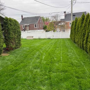 yard work by Bearded landscaping reviewed on August 17, 2025