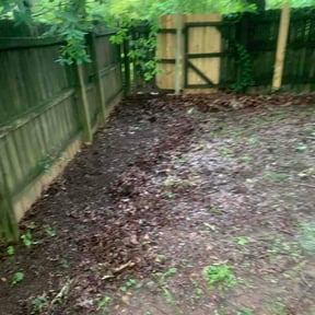 Leaf Removal by Vero one landscaping reviewed on May 27, 2026