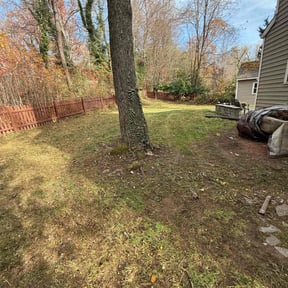 Leaf Removal by Aura lawn pros reviewed on August 15, 2025