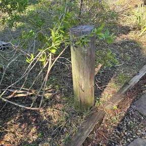 Flower Bed Weeding by Frederickson Lawn Management reviewed on March 20, 2026