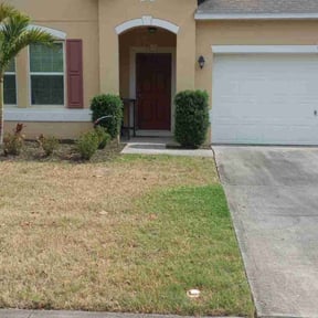 Bush Trimming by Hugheslandscaping reviewed on August 15, 2025