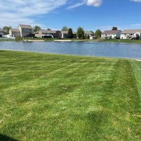 yard service by AG worx 225, LLC reviewed on August 19, 2025