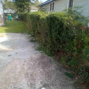 Bush Trimming by Logic Landscaping LLC reviewed on October 21, 2025