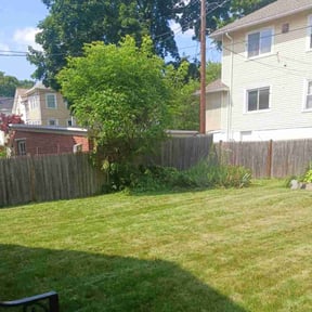 Bush Trimming by Azuloutdoorservices@gmail.com reviewed on August 21, 2025