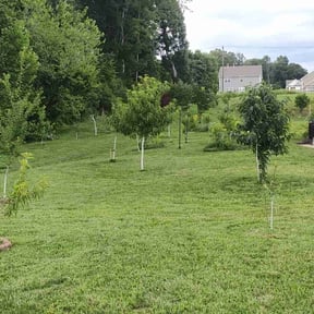 landscaping by NRB LAWN CARE LLC reviewed on August 17, 2025