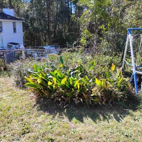 Bush Trimming by Mow Goatz Lawn Service  reviewed on August 15, 2025