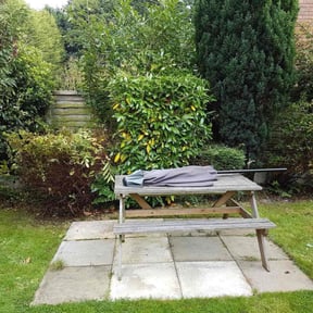 Bush Trimming by All Pro Lawn Maintenance LLC reviewed on December 17, 2025