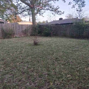 Bush Trimming by Scott's Landscaping And Pool Service reviewed on March 24, 2026