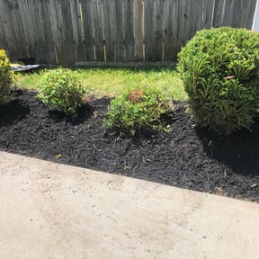 Flower Bed Weeding by Bella's Lawn Care reviewed on August 21, 2025