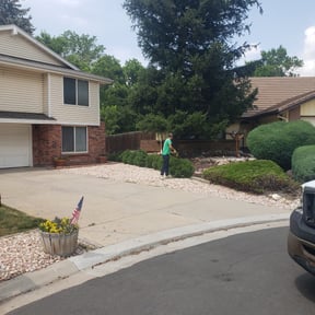 Bush Trimming by Cutting Edge Lawn Services reviewed on August 21, 2025