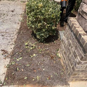 Bush Trimming by J &amp; F Landscaping LLC reviewed on November 19, 2025