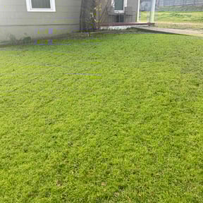 landscape maintenance by Corporate cuts lawn care reviewed on August 17, 2025