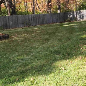Leaf Removal by The Yard Goat LLC reviewed on August 29, 2026