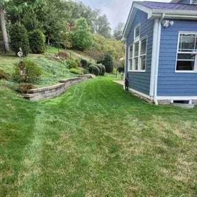 gardening service by W C Lawne Care reviewed on August 19, 2025